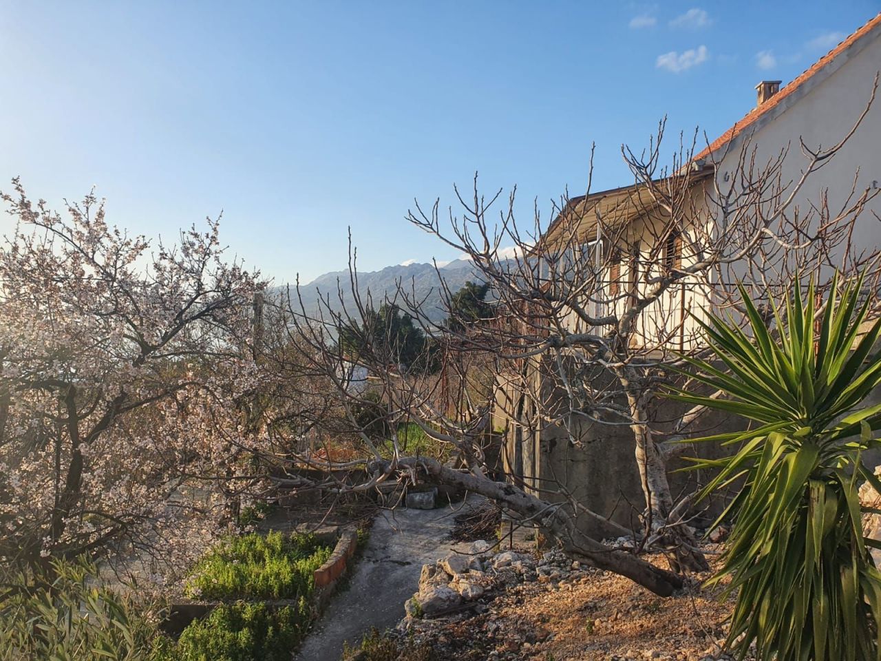 Дом в Задаре, Хорватия, 80 м2 фото 4