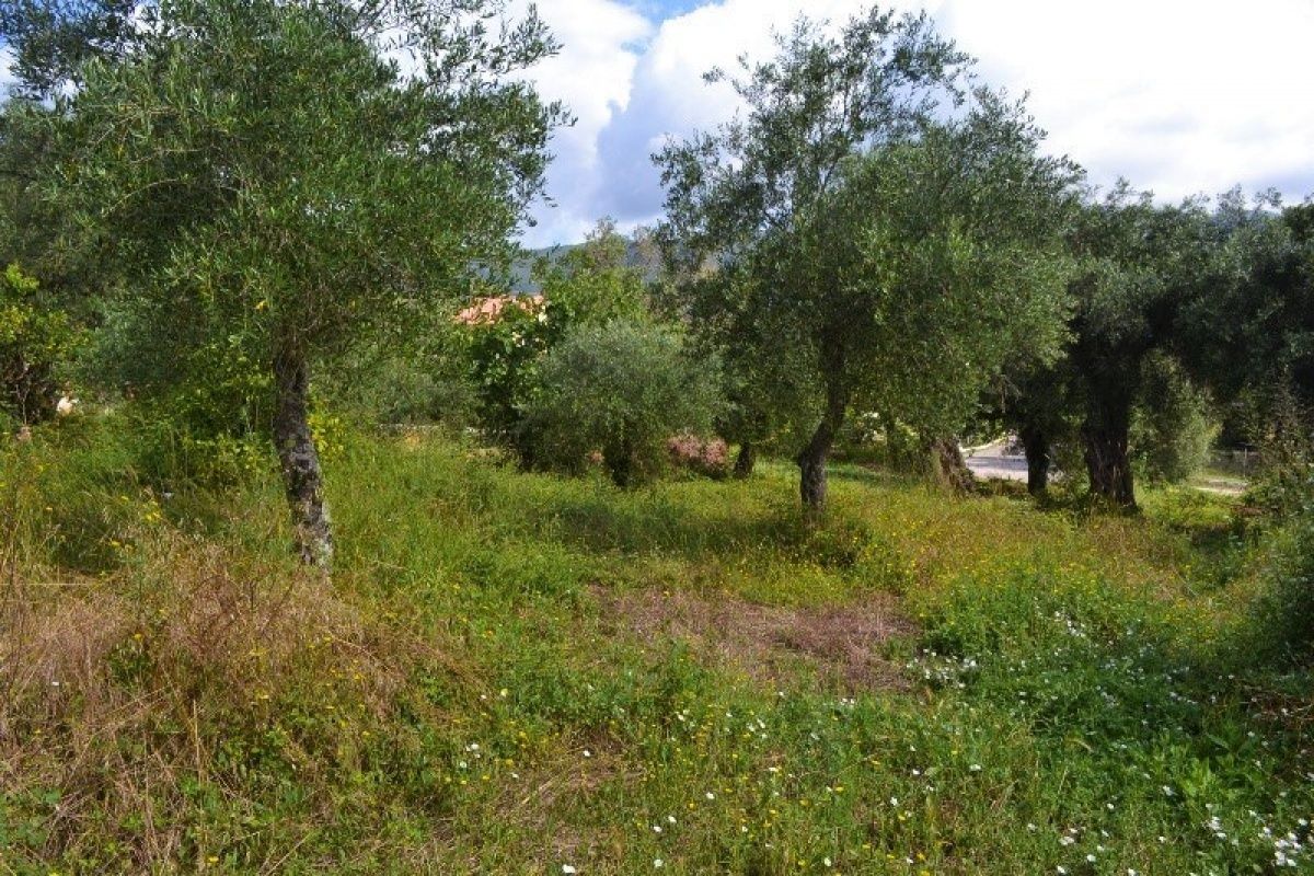 Дом на Ионических островах, Греция, 160 м2 фото 4