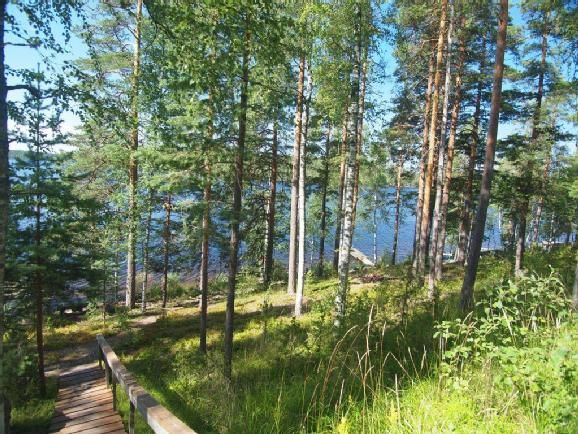 Таунхаус в Руоколахти, Финляндия, 30 м2 фото 2