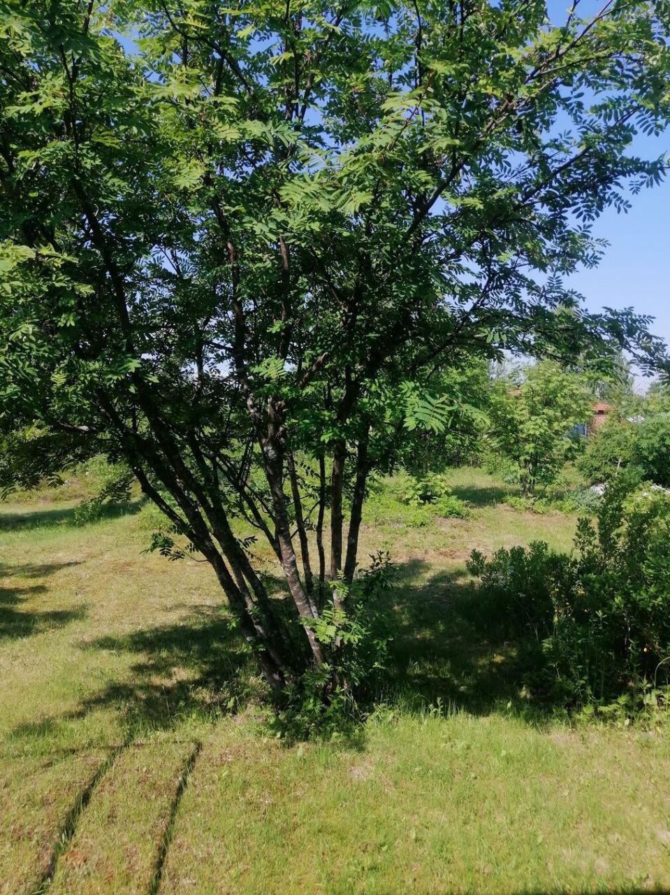 Таунхаус в Оулу, Финляндия, 60.5 м2 фото 4