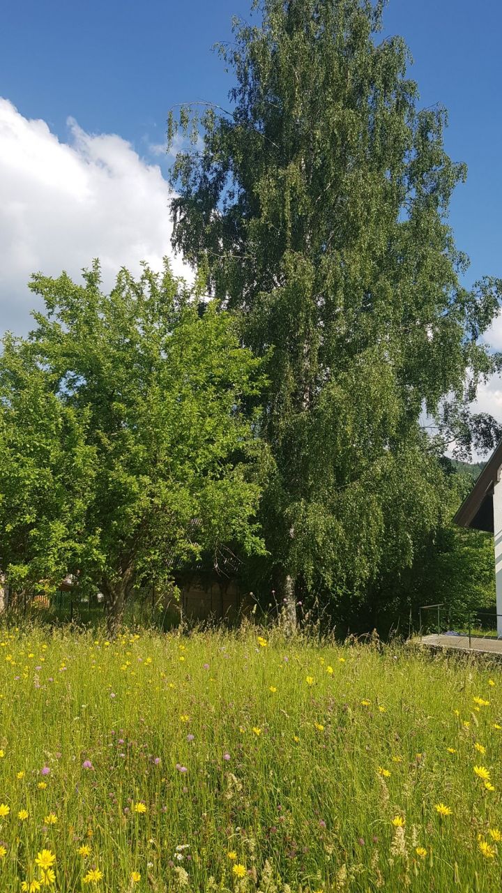 Дом в Колашине, Черногория, 100 м2 фото 2