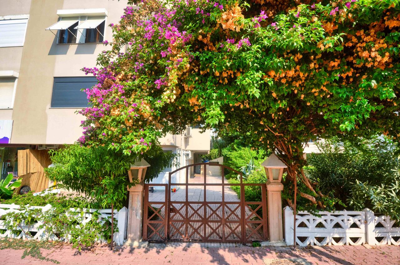 Квартира в Анталии, Турция, 160 м2 фото 4