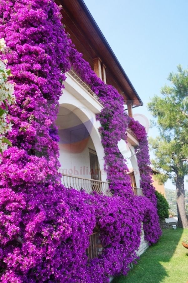Вилла в Алассио, Италия, 300 м2 фото 3