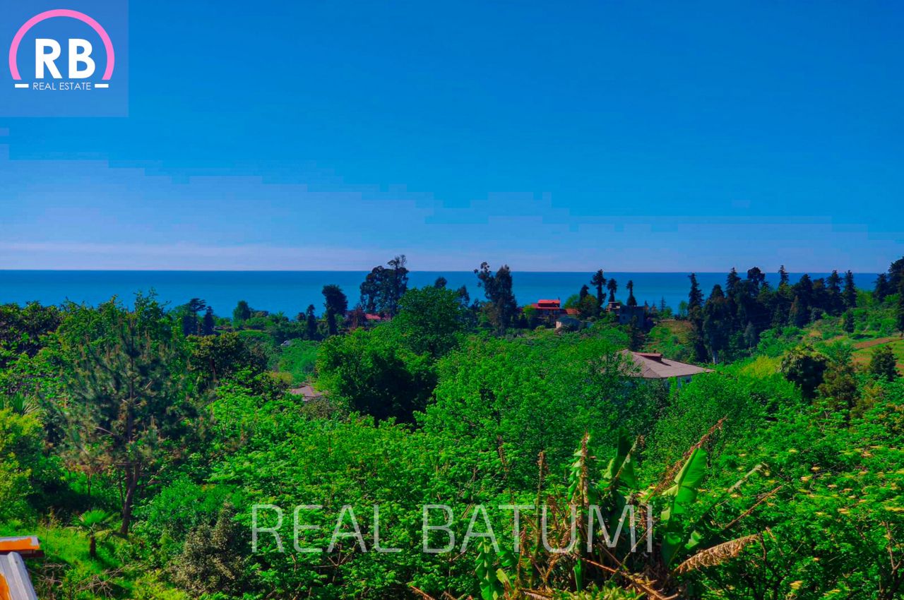 Дом в Батуми, Грузия, 250 м2 фото 5