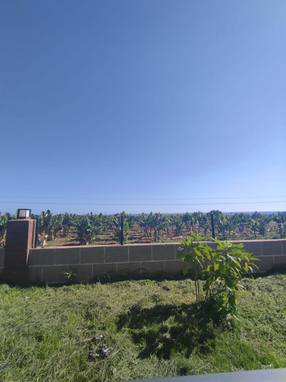 Квартира в Алании, Турция, 64 м2 фото 2