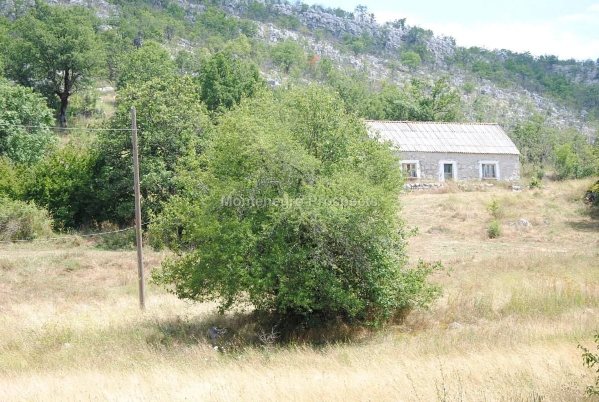 Дом в Никшиче, Черногория, 797 162 м2 фото 5