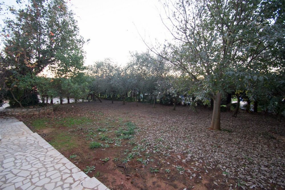Дом в Новиграде, Хорватия, 315 м2 фото 4