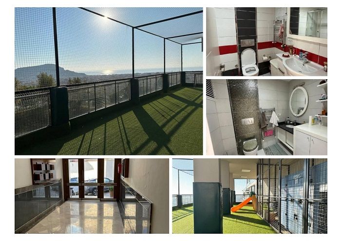 Квартира в Алании, Турция, 130 м2 фото 4