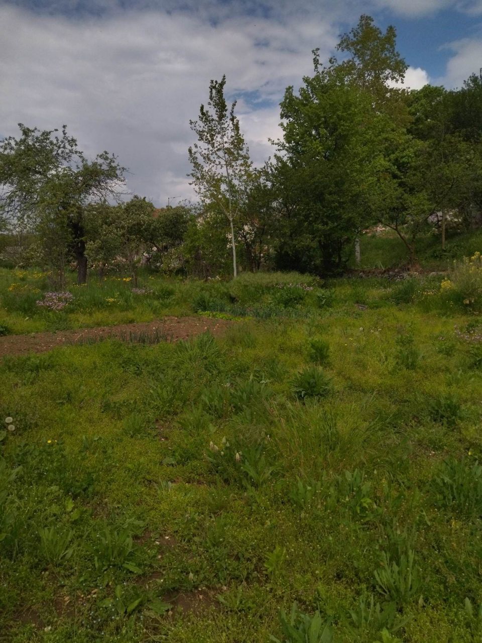 Дом в Никшиче, Черногория, 100 м2 фото 3