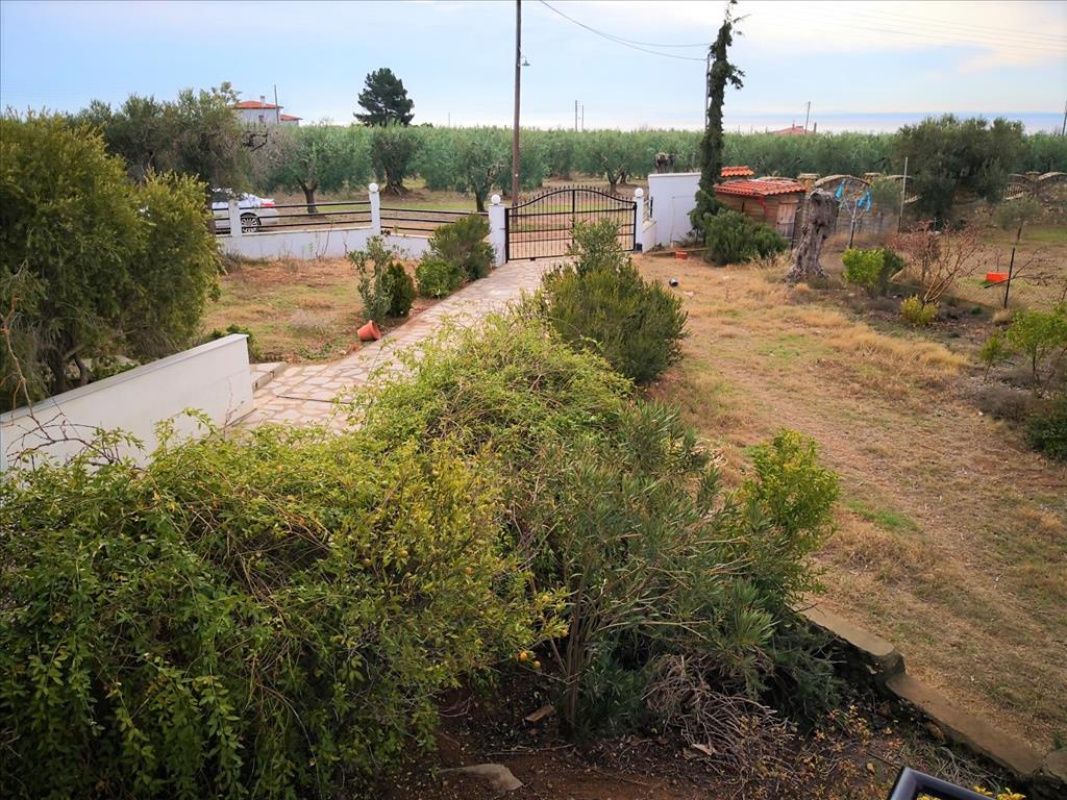 Дом в Ситонии, Греция, 400 м2 фото 4