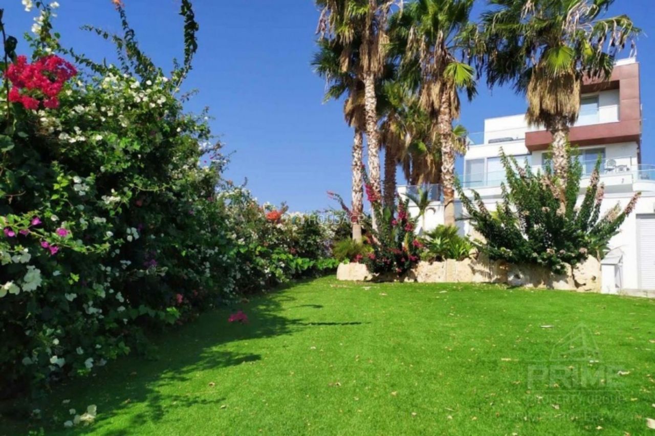 Вилла в Лимасоле, Кипр, 850 м2 фото 3