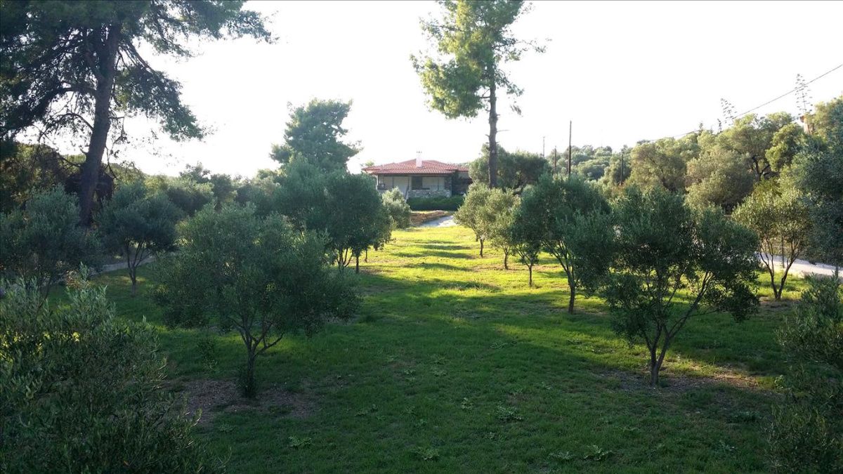 Дом в Ситонии, Греция, 200 м2 фото 2