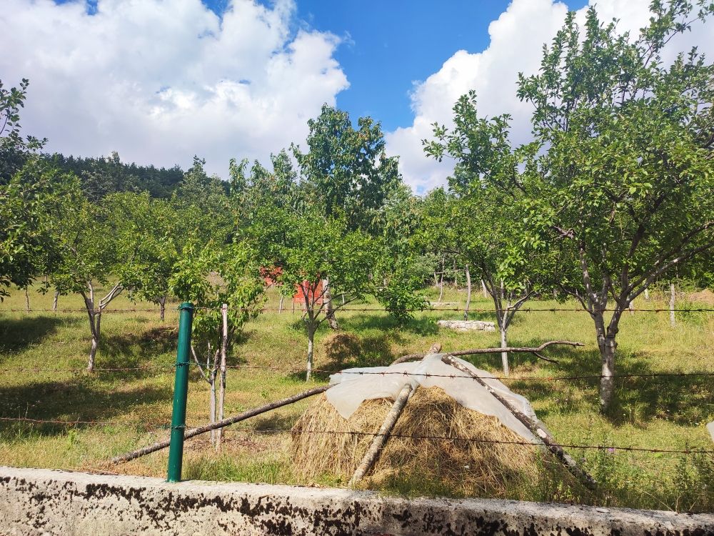 Поместье в Никшиче, Черногория, 360 м2 фото 5