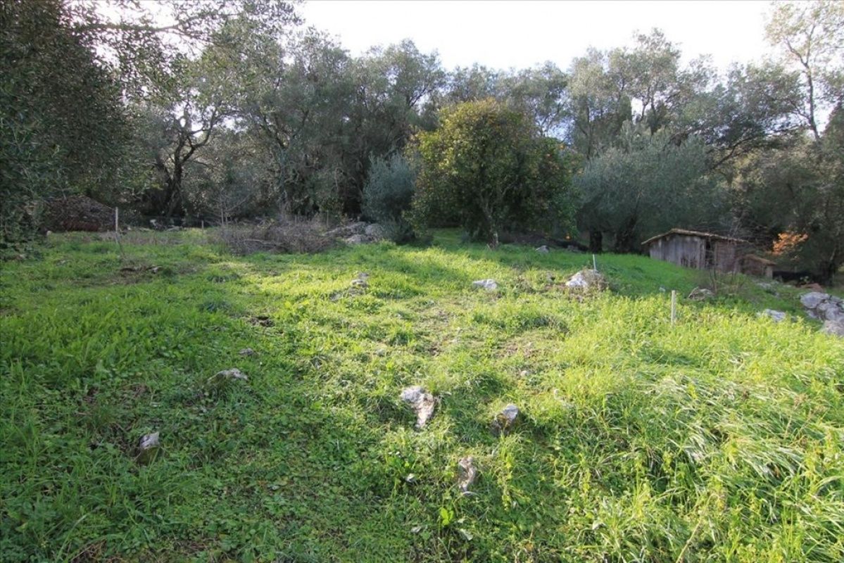 Дом на Ионических островах, Греция, 130 м2 фото 4