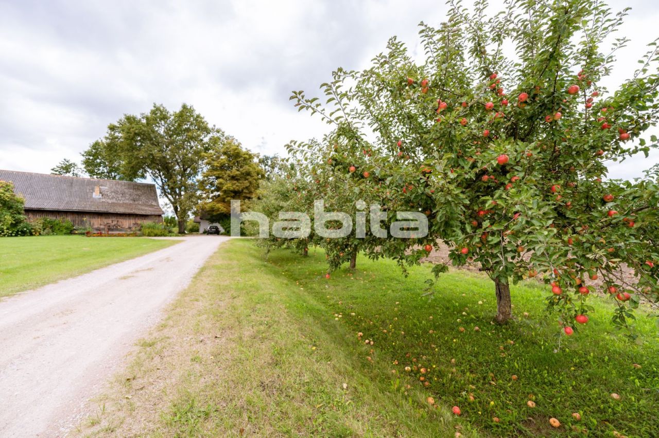 Квартира Smarde, Латвия, 360 м2 фото 3