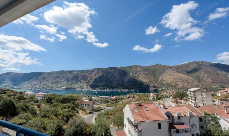 Квартира в Которе, Черногория, 46 м2 фото 3