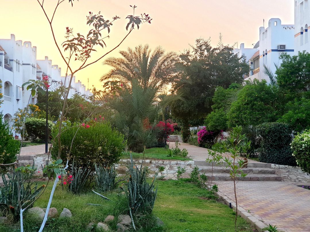 Квартира в Шарм-эль-Шейхе, Египет, 60 м2 фото 5