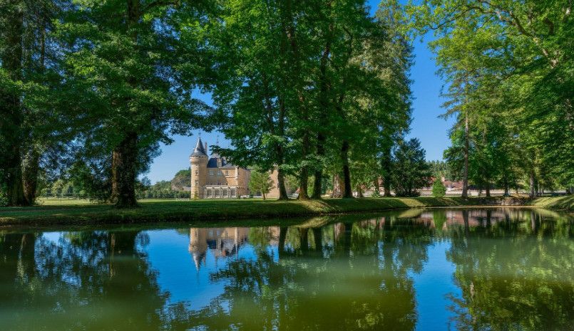 Замок в Бургундии, Франция, 2 400 м2 фото 5