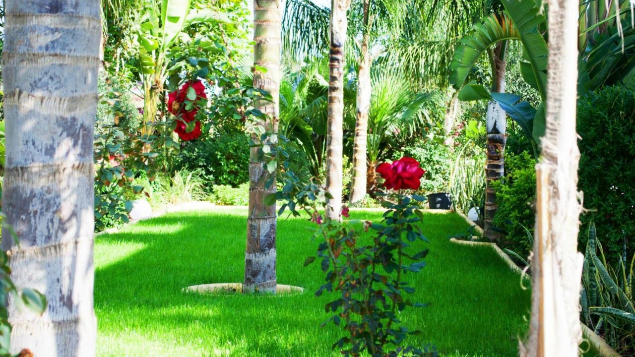 Вилла в Протарасе, Кипр, 300 м2 фото 5