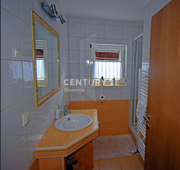 Дом в Рогашка-Слатине, Словения, 277 м2 фото 3