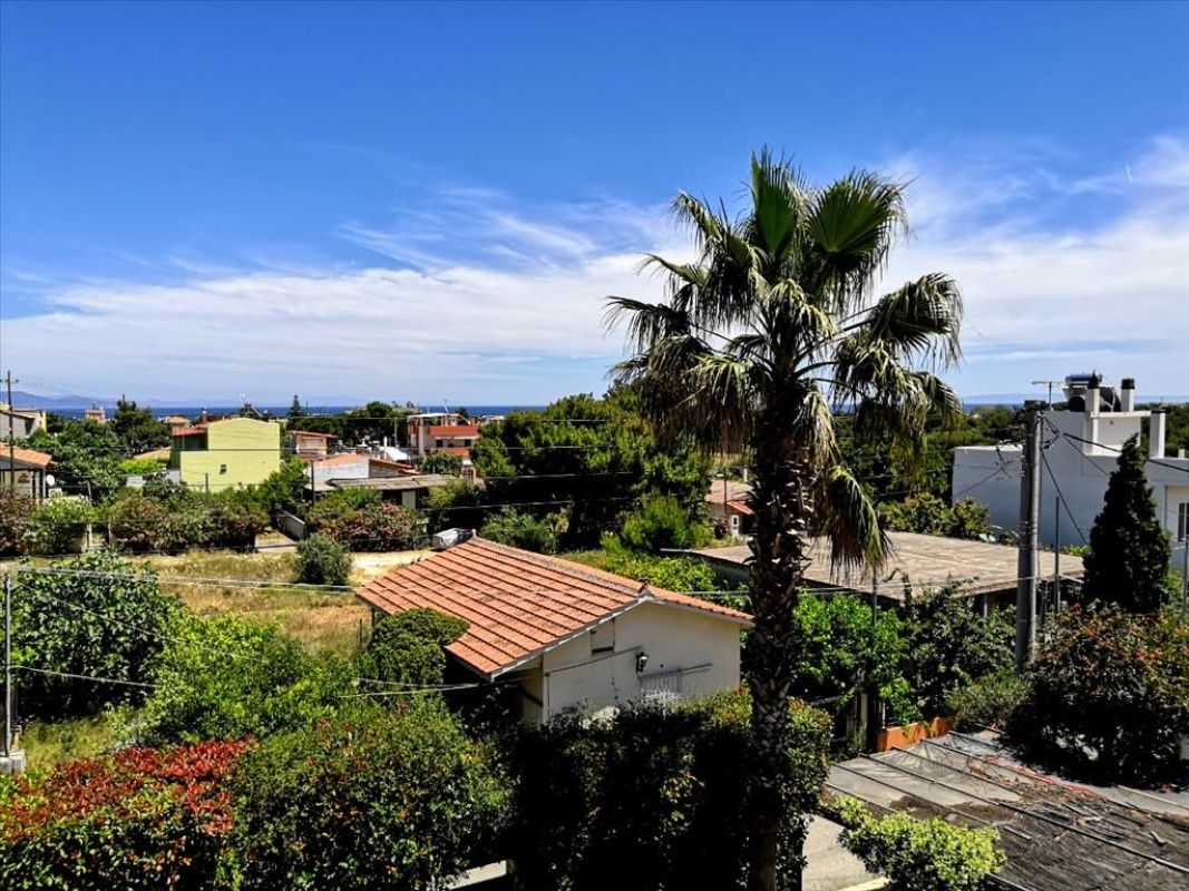 Дом в Афинах, Греция, 350 м2 фото 3