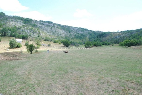 Дом в Никшиче, Черногория, 797 162 м2 фото 1
