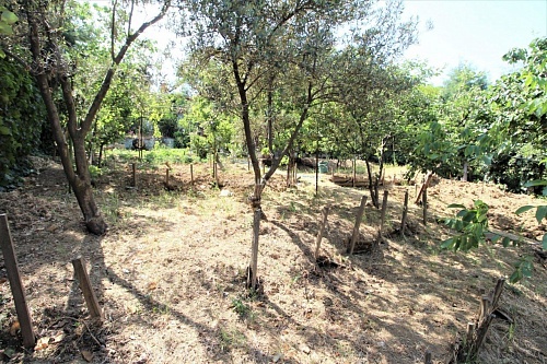 Ферма Дарыджа, Турция, 320 м2 фото 1