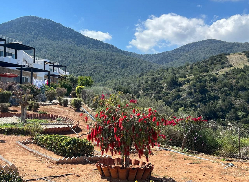 Пентхаус в Эсентепе, Кипр, 100 м2