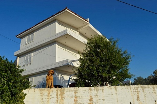 Дом в Афинах, Греция, 300 м2 фото 1