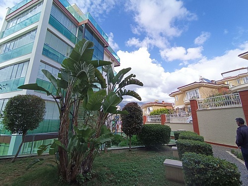 Квартира в Алании, Турция, 215 м2 фото 1
