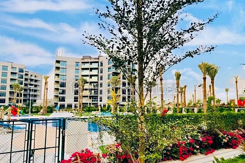 Квартира в Дубае, ОАЭ, 36.15 м2 фото 1