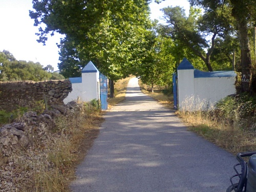 Поместье в Порталегри, Португалия, 490 м2 фото 1