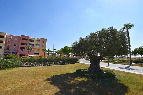 Апартаменты Mar Menor Golf Resort, Испания, 80 м2 фото 1