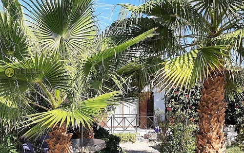Вилла в Фамагусте, Кипр, 520 м2 фото 1