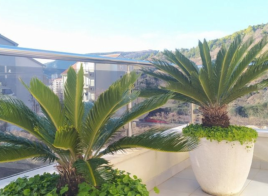 Квартира в Будве, Черногория, 76 м2