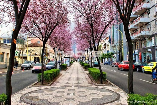 Апартаменты в Тиране, Албания, 60 м2 фото 1