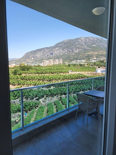 Квартира в Алании, Турция, 60 м2 фото 1
