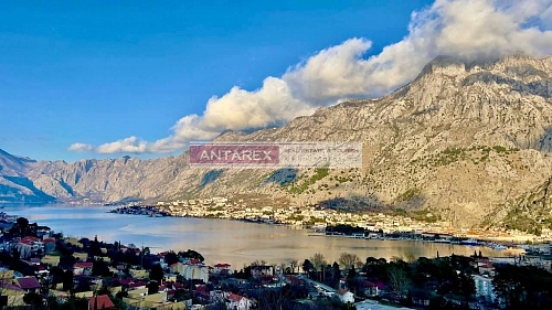 Апартаменты в Шкальяри, Черногория, 50 м2 фото 1