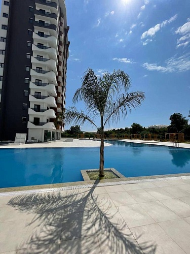 Студия в Алании, Турция, 35 м2 фото 1